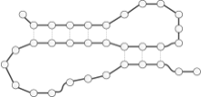 Bioinformatics